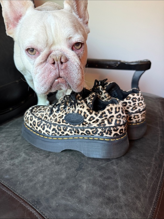 Dr. Martens Shoes - Dr. Martens Leopard Print Buzz - Black/Tan